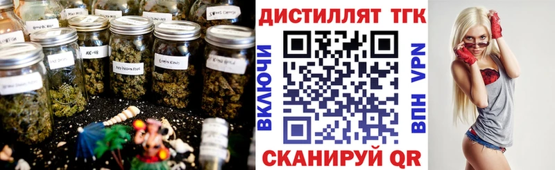ТГК вейп  Энем 